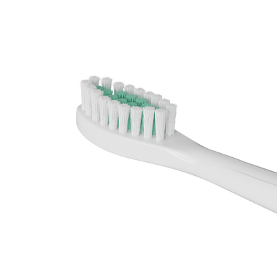 Relações com os ex-alunos Escova de Dentes e Escova Elétrica para Conferência Anual