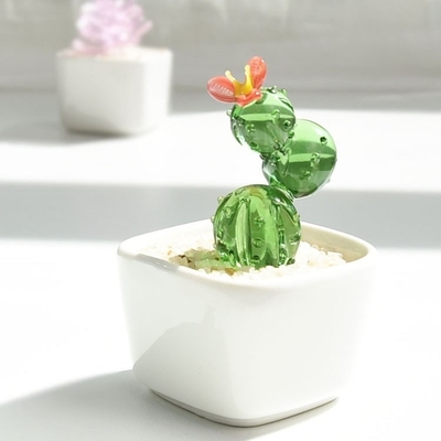 Promoção Decorar presentes Ornamentação de vidro para cactos suculentos e plantas em vasos