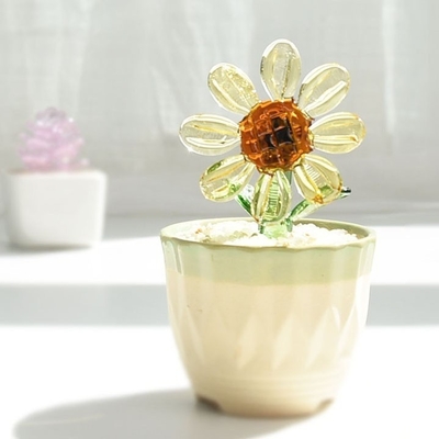 Promoção Decorar presentes Ornamentação de vidro para cactos suculentos e plantas em vasos