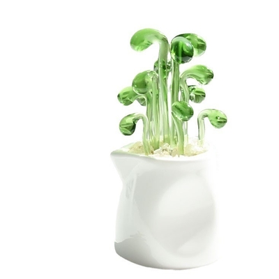 Promoção Decorar presentes Ornamentação de vidro para cactos suculentos e plantas em vasos