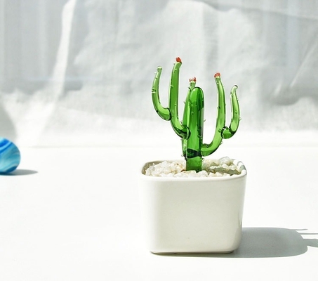 Promoção Decorar presentes Ornamentação de vidro para cactos suculentos e plantas em vasos